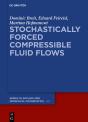 Stochastically Forced Compressible Fluid Flows - Preview