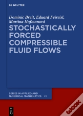 Stochastically Forced Compressible Fluid Flows