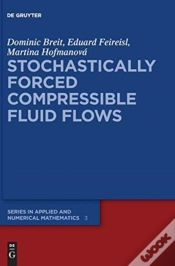 Capa do artigo Stochastically Forced Compressible Fluid Flows
