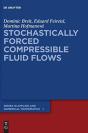 Stochastically Forced Compressible Fluid Flows - Preview