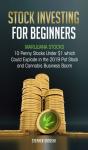 Stock Investing For Beginners - Preview