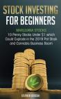 Stock Investing For Beginners - Preview
