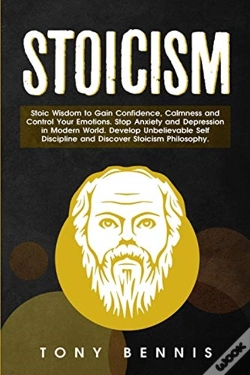 Capa do artigo Stoicism: Stoic Wisdom To Gain Confidenc