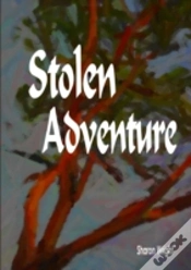 Capa do artigo Stolen Adventure