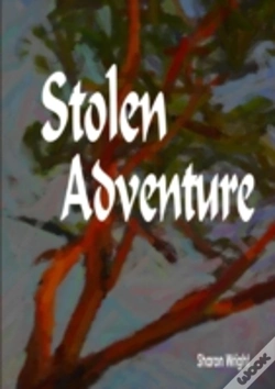 Capa do artigo Stolen Adventure
