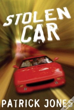 Capa do artigo Stolen Car
