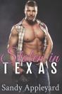 Stolen In Texas - Preview