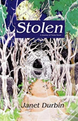 Capa do artigo Stolen