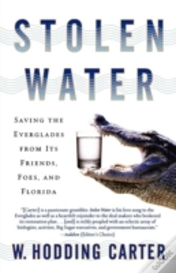 Capa do artigo Stolen Water