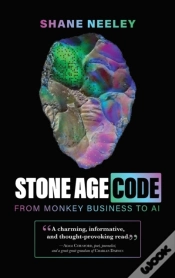 Capa do artigo Stone Age Code