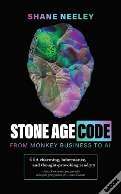 Capa do artigo Stone Age Code