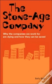 Capa do artigo Stone-Age Company