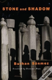 Capa do artigo Stone And Shadow