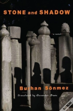 Capa do artigo Stone And Shadow