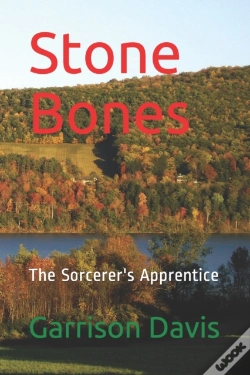 Capa do artigo Stone Bones