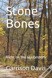 Capa do artigo Stone Bones