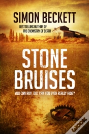 Capa do artigo Stone Bruises