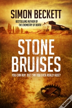 Capa do artigo Stone Bruises