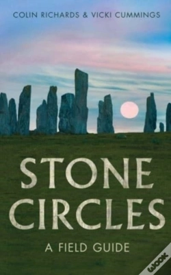 Capa do artigo Stone Circles