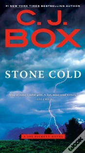 Capa do artigo Stone Cold