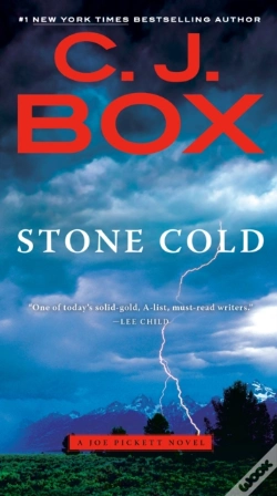 Capa do artigo Stone Cold