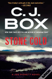 Capa do artigo Stone Cold