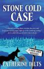 Stone Cold Case - Preview
