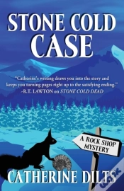 Capa do artigo Stone Cold Case
