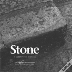 Capa do artigo Stone