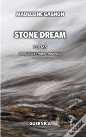 Capa do artigo Stone Dream