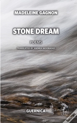 Capa do artigo Stone Dream
