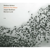 Capa do artigo Stone in the Water - CD