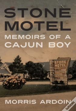 Capa do artigo Stone Motel