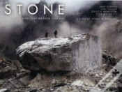 Capa do artigo Stone