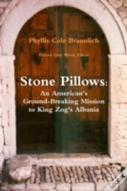 Capa do artigo Stone Pillows