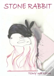 Capa do artigo Stone Rabbit
