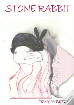 Capa do artigo Stone Rabbit
