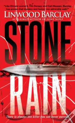 Capa do artigo Stone Rain