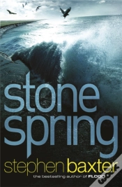 Capa do artigo Stone Spring