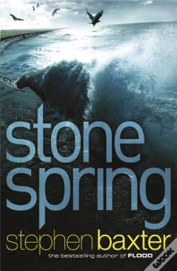 Capa do artigo Stone Spring