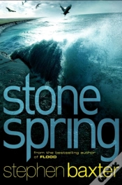Capa do artigo Stone Spring