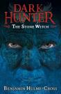 Stone Witch (Dark Hunter 5) - Preview