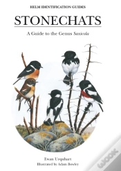 Capa do artigo Stonechats