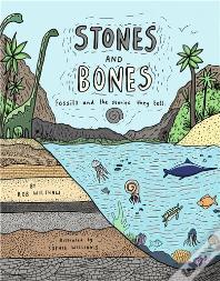 Stones And Bones