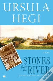 Capa do artigo Stones From The River