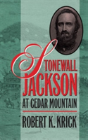 Stonewall Jackson At Cedar Mountain - Preview