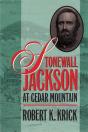 Stonewall Jackson At Cedar Mountain - Preview