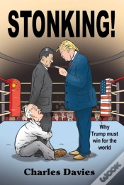 Capa do artigo Stonking!