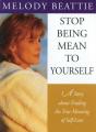 Stop Being Mean To Yourself - Preview