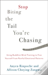 Stop Biting The Tail You'Re Chasing
